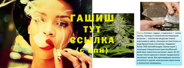 шишки Белокуриха